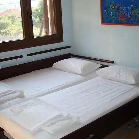 Elva * 艾斯普罗瓦塔